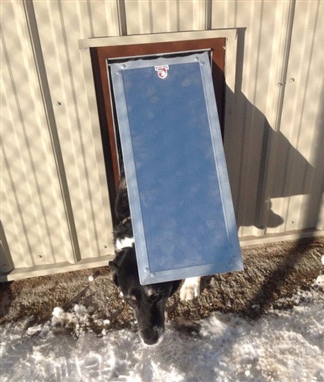 Kennel Clad Swing Kennel Door (Chew Proof) - Portal PROS