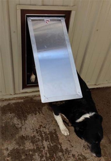 Kennel Clad Swing Kennel Door (Chew Proof) - Portal PROS