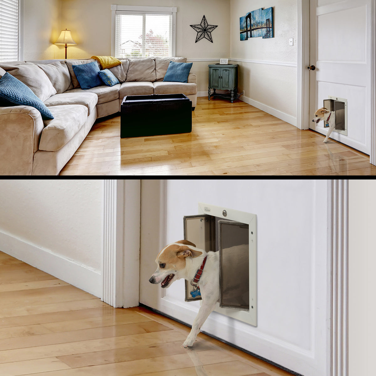 PlexiDor Door Series pet door lifestyle photo, Jackson
