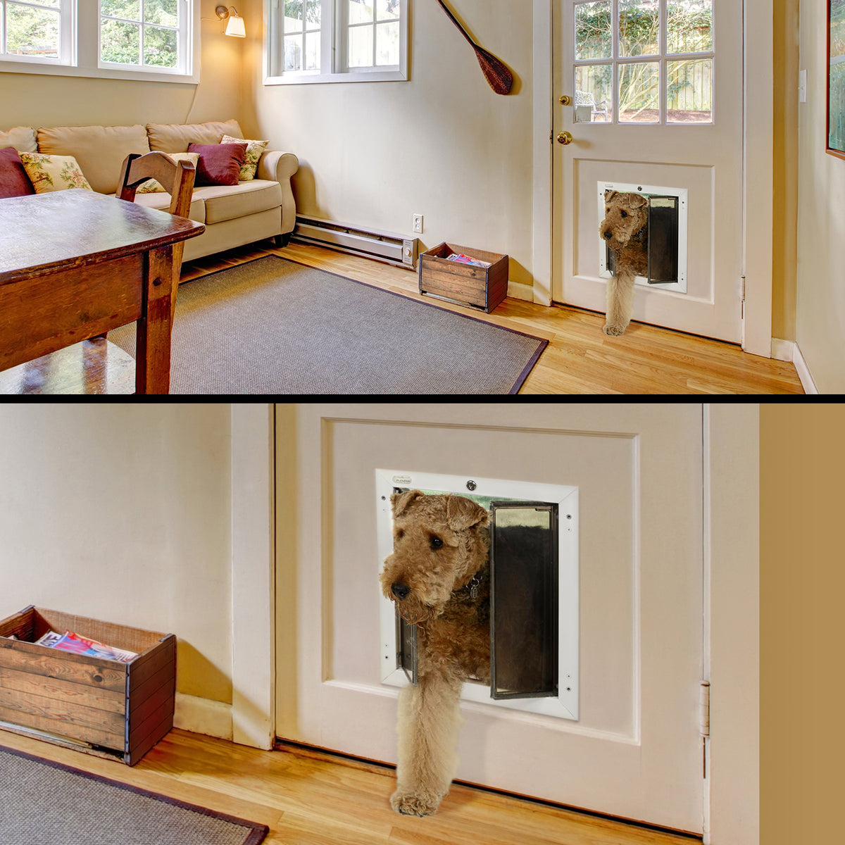 PlexiDor Door Series pet door lifestyle photo, Zele