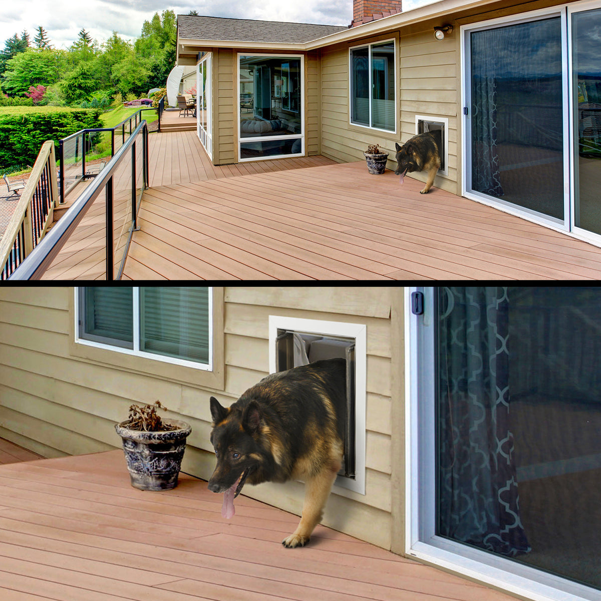 PlexiDor Wall Series pet door lifestyle photo, Beaux