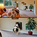 PlexiDor Wall Series pet door lifestyle photo, Moose, view 2