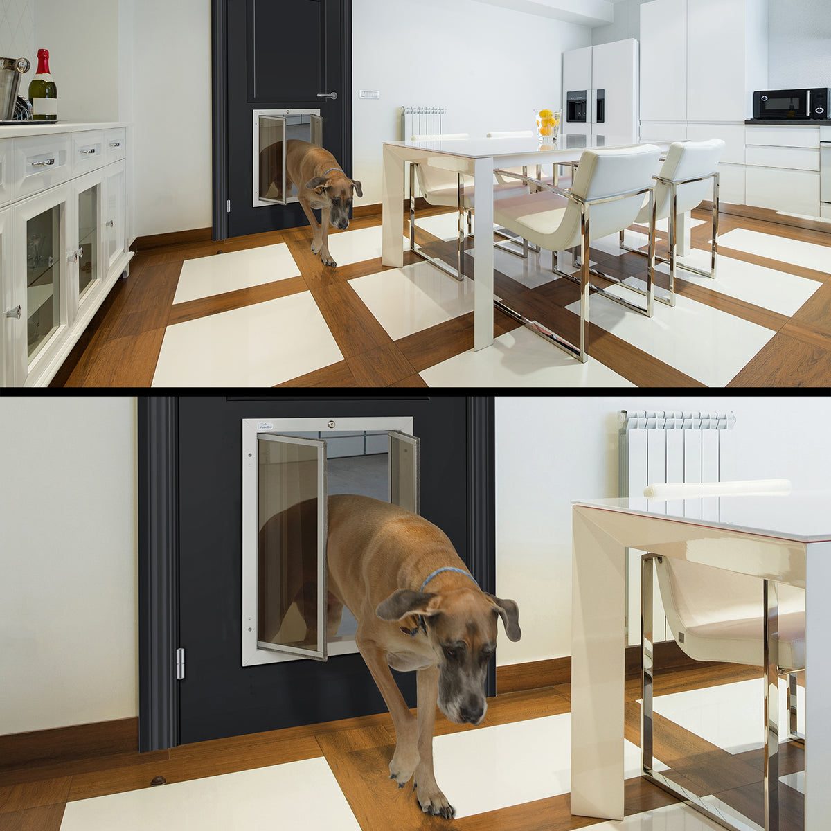 PlexiDor Wall Series pet door lifestyle photo, Winston, view 1