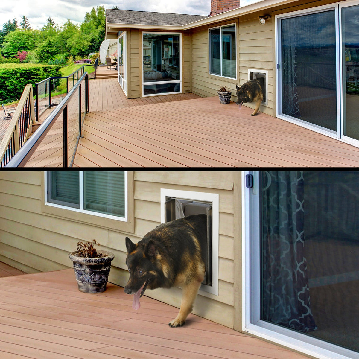 German shepherd coming through a PlexiDor wall mount dog door onto a deck