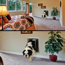 St. Bernard walking through a PlexiDor dog door in a bedroom wall