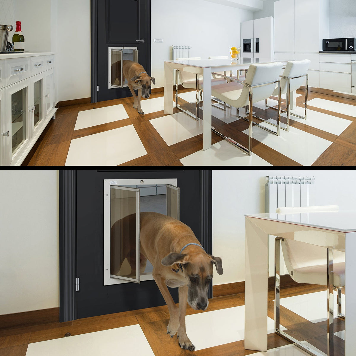 Large dog walking through a PlexiDor wall dog door in a modern kitchen