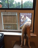 Perro mirando hacia afuera por una puerta para perros en ventana SB Standard, desde el interior