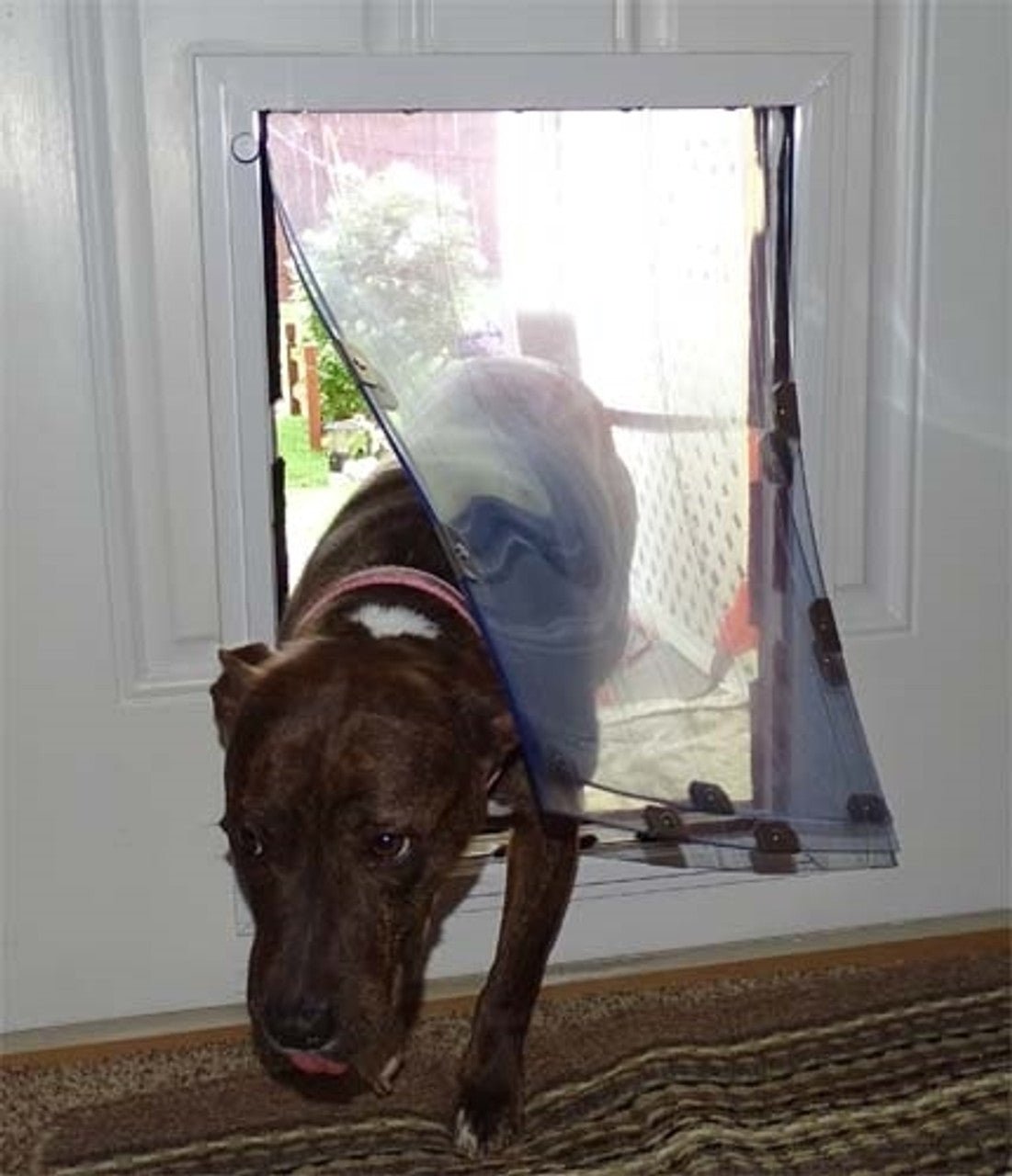 MaxSeal Door Mount Pet Door - Portal PROS