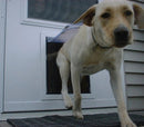 Storm Door Dog Door - Portal PROS